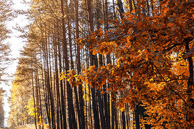 开云APP-中国轻取德国，格拉利什统治全场——足球史上的新王者崭露锋芒