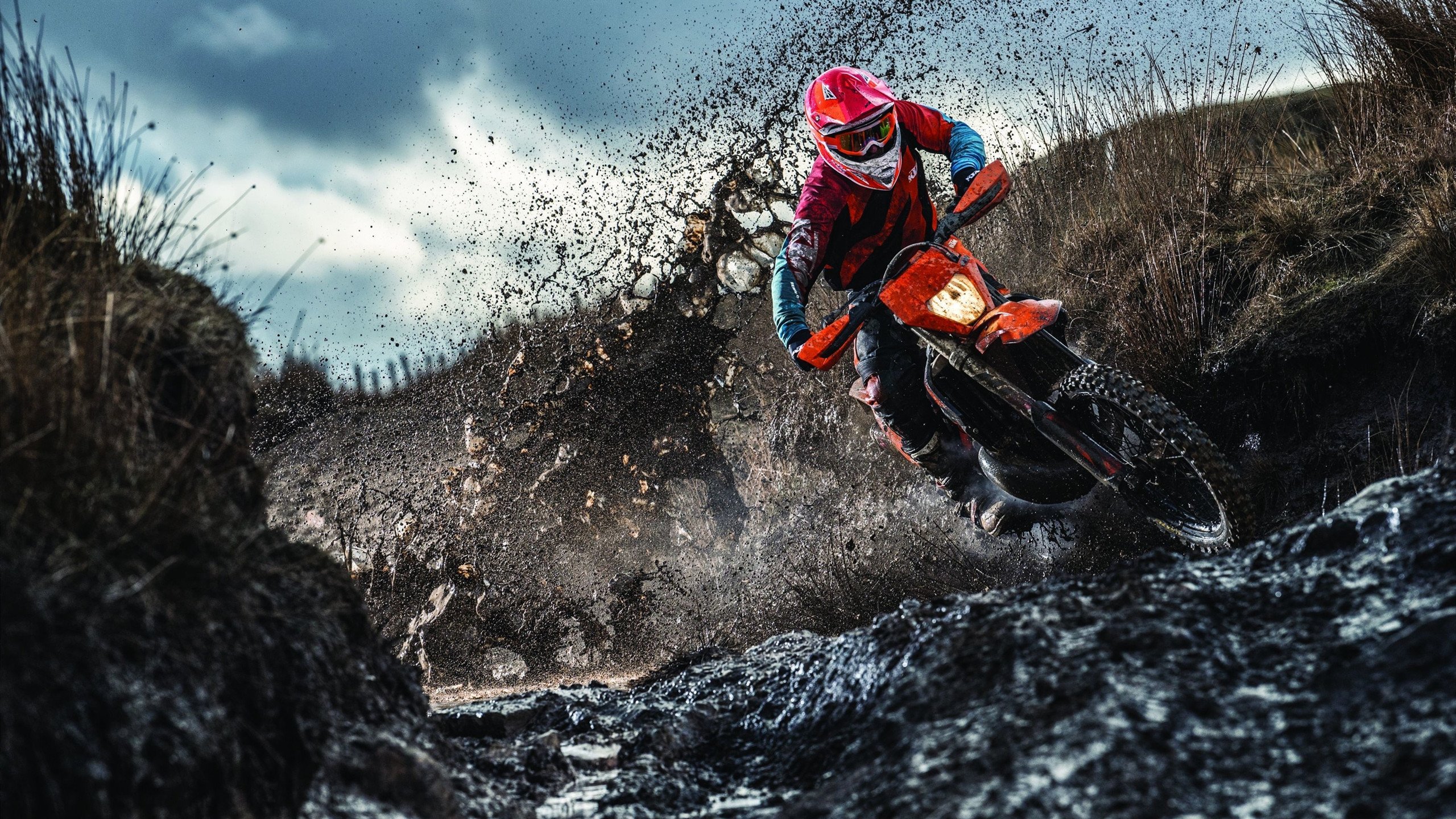 东决关键战之夜，布雷默硬仗之王的封神之战